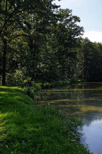 Slivnica Ponds